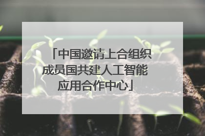 中国邀请上合组织成员国共建人工智能应用合作中心