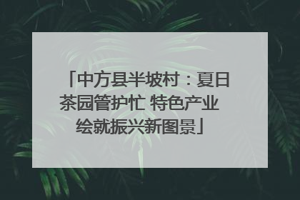 中方县半坡村：夏日茶园管护忙 特色产业绘就振兴新图景