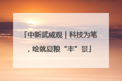 中新武威观｜科技为笔，绘就夏粮“丰”景