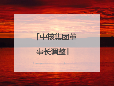 中核集团董事长调整