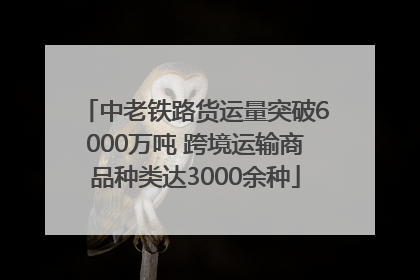 中老铁路货运量突破6000万吨 跨境运输商品种类达3000余种