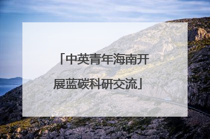 中英青年海南开展蓝碳科研交流