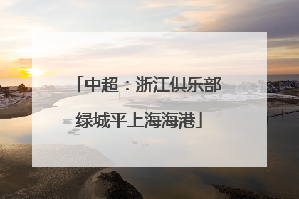 中超：浙江俱乐部绿城平上海海港