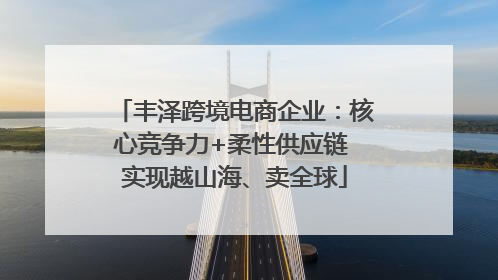 丰泽跨境电商企业：核心竞争力+柔性供应链 实现越山海、卖全球