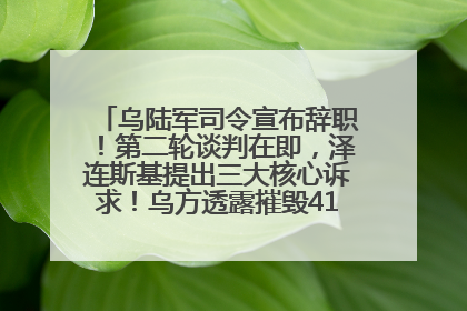 乌陆军司令宣布辞职！第二轮谈判在即，泽连斯基提出三大核心诉求！乌方透露摧毁41架俄战略轰炸机