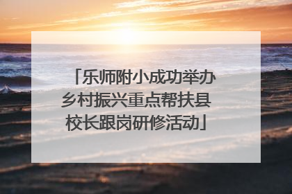 乐师附小成功举办乡村振兴重点帮扶县校长跟岗研修活动