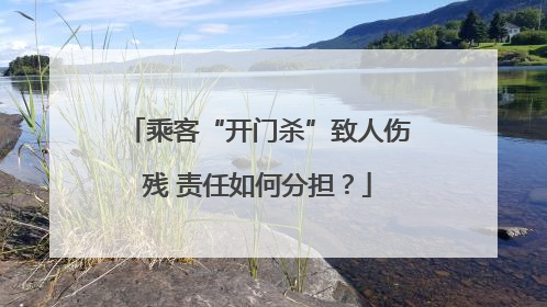 乘客“开门杀”致人伤残 责任如何分担？