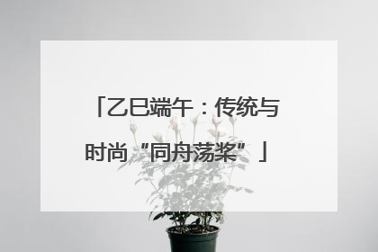 乙巳端午：传统与时尚“同舟荡桨”