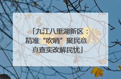 九江八里湖新区：精准“吹哨”聚民意 真查实改解民忧