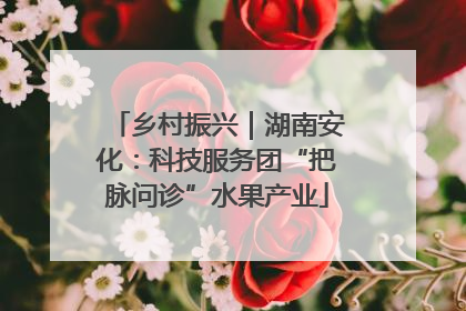 乡村振兴｜湖南安化：科技服务团“把脉问诊”水果产业