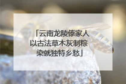云南龙陵傣家人以古法草木灰制粽 染就独特乡愁