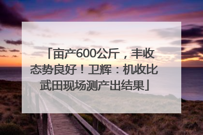 亩产600公斤，丰收态势良好！卫辉：机收比武田现场测产出结果