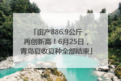 亩产886.9公斤，再创新高！6月25日，青岛夏收夏种全部结束