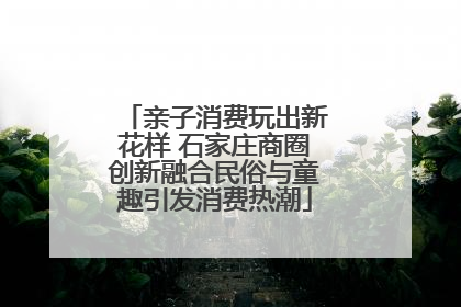 亲子消费玩出新花样 石家庄商圈创新融合民俗与童趣引发消费热潮