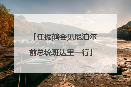 任振鹤会见尼泊尔前总统班达里一行