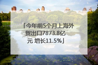 今年前5个月上海外贸出口7873.8亿元 增长11.5%