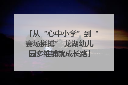 从“心中小学”到“赛场拼搏” 龙湖幼儿园多维铺就成长路