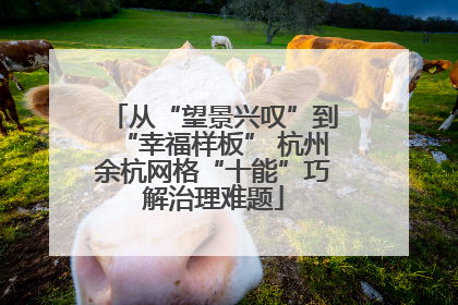 从“望景兴叹”到“幸福样板” 杭州余杭网格“十能”巧解治理难题