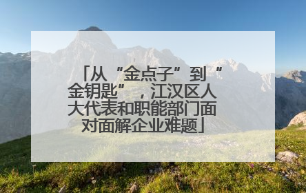 从“金点子”到“金钥匙”，江汉区人大代表和职能部门面对面解企业难题