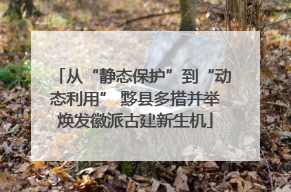 从“静态保护”到“动态利用” 黟县多措并举焕发徽派古建新生机