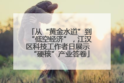 从“黄金水道”到“低空经济”，江汉区科技工作者日展示“硬核”产业答卷