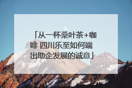 从一杯桑叶茶+咖啡 四川乐至如何端出助企发展的诚意