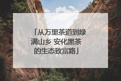 从万里茶道到绿满山乡 安化黑茶的生态致富路