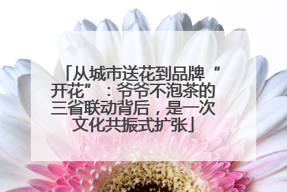 从城市送花到品牌“开花”：爷爷不泡茶的三省联动背后，是一次文化共振式扩张