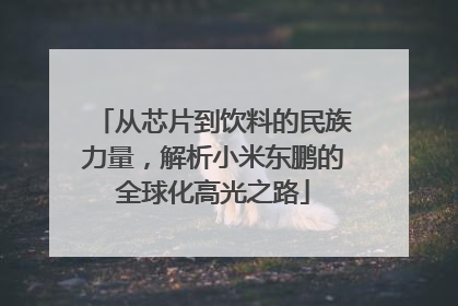 从芯片到饮料的民族力量，解析小米东鹏的全球化高光之路