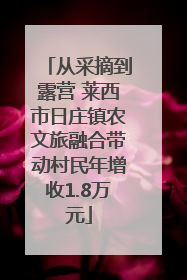 从采摘到露营 莱西市日庄镇农文旅融合带动村民年增收1.8万元