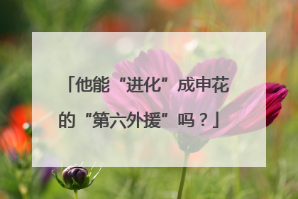 他能“进化”成申花的“第六外援”吗？