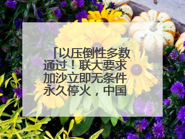 以压倒性多数通过！联大要求加沙立即无条件永久停火，中国投下赞成票