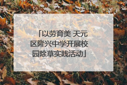 以劳育美 天元区隆兴中学开展校园除草实践活动