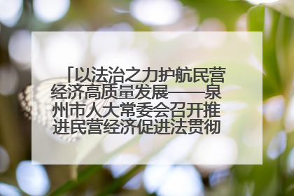 以法治之力护航民营经济高质量发展——泉州市人大常委会召开推进民营经济促进法贯彻实施座谈会
