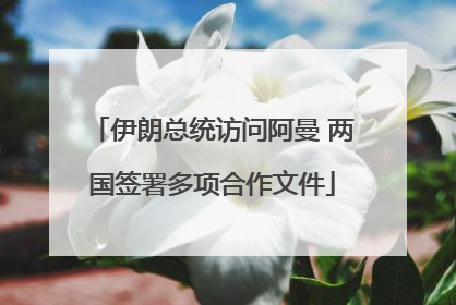 伊朗总统访问阿曼 两国签署多项合作文件