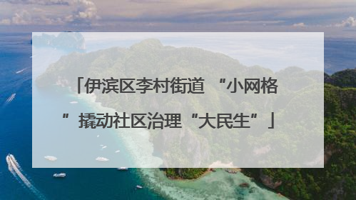 伊滨区李村街道 “小网格”撬动社区治理“大民生”