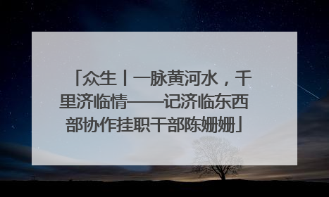 众生丨一脉黄河水，千里济临情——记济临东西部协作挂职干部陈姗姗