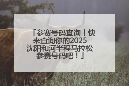 参赛号码查询丨快来查询你的2025沈阳和河半程马拉松参赛号码吧！