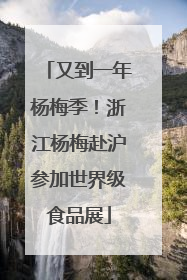 又到一年杨梅季！浙江杨梅赴沪参加世界级食品展