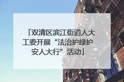 双清区滨江街道人大工委开展“法治护绿护安人大行”活动