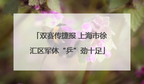 双赛传捷报 上海市徐汇区军休“乒”劲十足