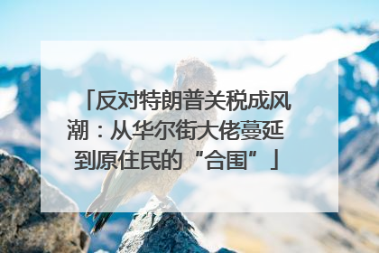 反对特朗普关税成风潮：从华尔街大佬蔓延到原住民的“合围”