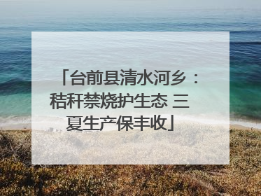 台前县清水河乡：秸秆禁烧护生态 三夏生产保丰收