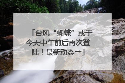 台风“蝴蝶”或于今天中午前后再次登陆！最新动态→