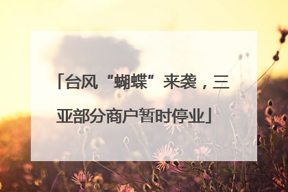 台风“蝴蝶”来袭，三亚部分商户暂时停业