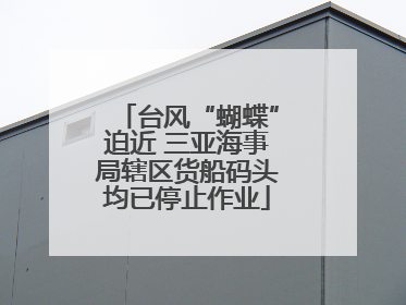 台风“蝴蝶”迫近 三亚海事局辖区货船码头均已停止作业