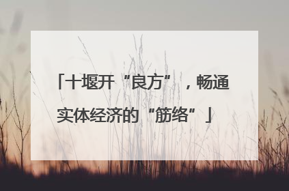 十堰开“良方”，畅通实体经济的“筋络”