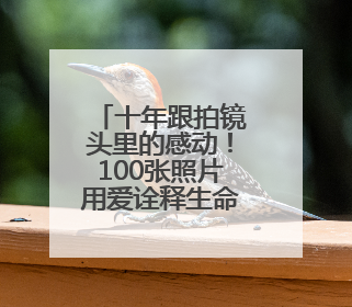 十年跟拍镜头里的感动！100张照片用爱诠释生命绽放