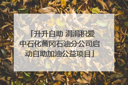 升升自助 涓涓积爱 中石化黄冈石油分公司启动自助加油公益项目