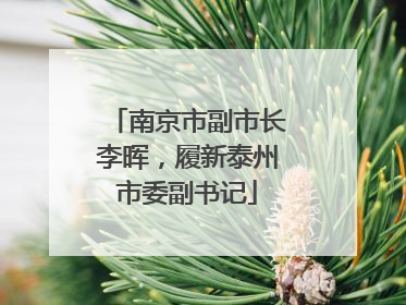 南京市副市长李晖，履新泰州市委副书记